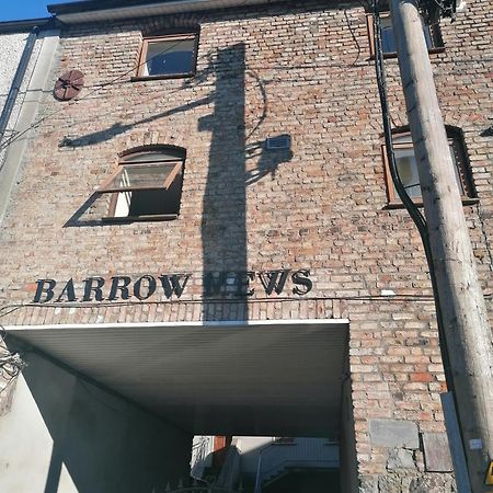 Barrow Mews Views Leilighet Carlow Eksteriør bilde